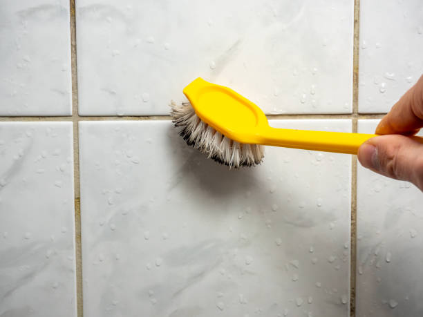 Best Home Mold Removal  in Collegedale, TN