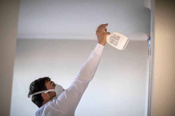 Best Crawl Space Mold Removal  in Collegedale, TN