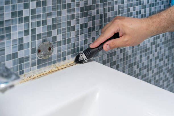 Best Black Mold Removal  in Collegedale, TN