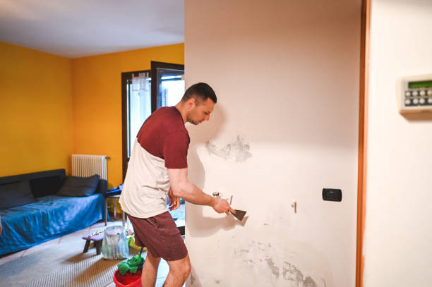 Best Residential Mold Removal  in Collegedale, TN